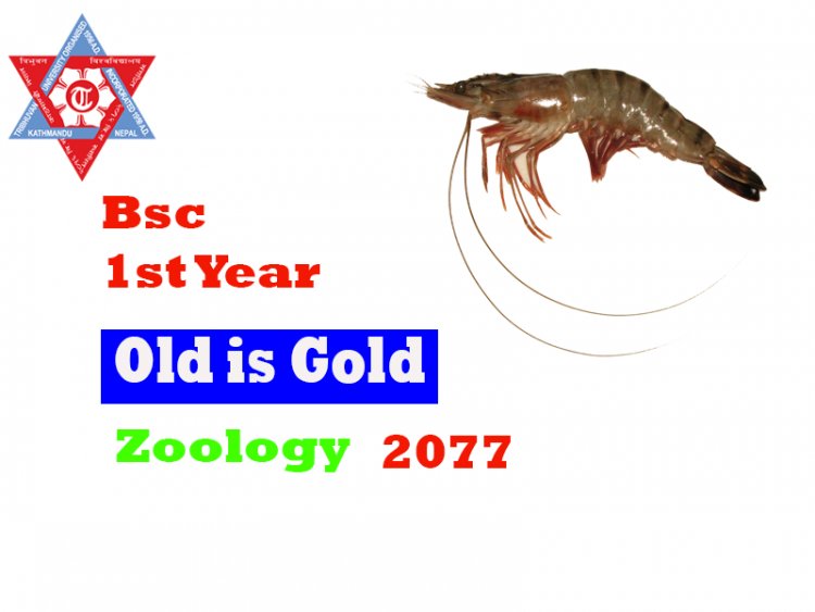 Zoology Question-2077(Bsc. I Year)