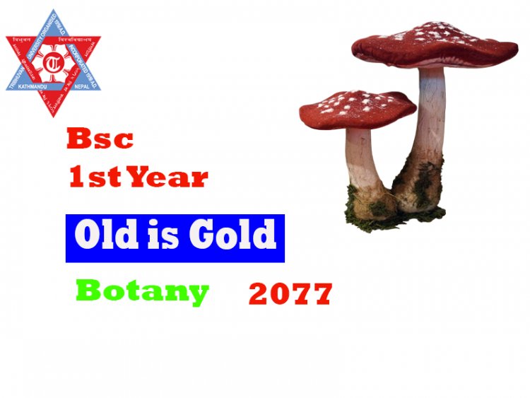Botany  1st Year-2077(Old Questions)